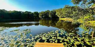 1610 PALM LEAF Drive Gallery 2