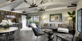 Breve Park Gallery 15