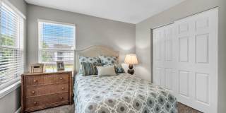 Windshire Terrace Gallery 1