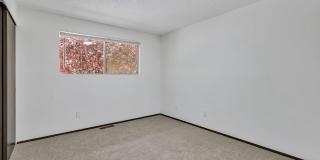 Fully Renovated 3BD Upper Duplex with Garage & Garden in West Seattle Gallery 21