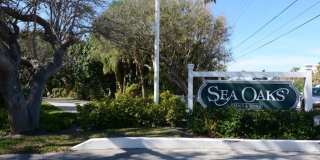 1315 E Winding Oaks Circle unit: 902 Gallery 1