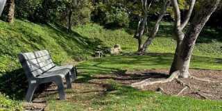 3200 La Rotonda Gallery 33