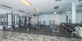 32 Arcadia Gallery 15