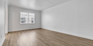 Newly Remodeled Studio on 2nd Street Gallery 10