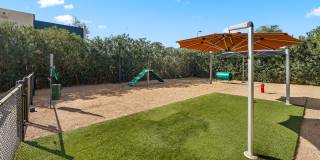 Scottsdale Gateway Gallery 41