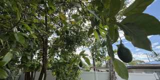 1502 West Country Club Drive Gallery 35