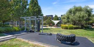 CitySouth Gallery 36