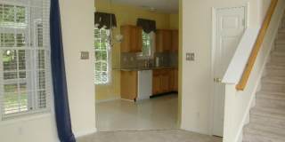 207 Cove Creek Drive Gallery 3
