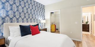 Citra at Windermere Gallery 41