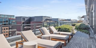 Coda on Half Gallery 3