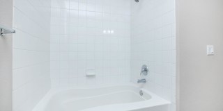 RIZE at Winter Springs Gallery 170