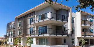 The Harrington Gallery 4