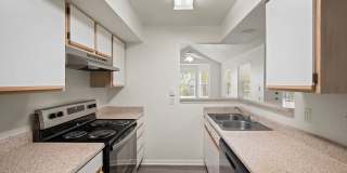 Forest View Gallery 5