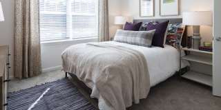 Waterleaf at Cold Springs Gallery 17