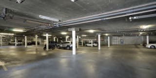 Palms Court Gallery 21