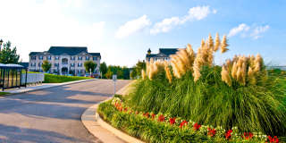 Belmont Landing Gallery 17