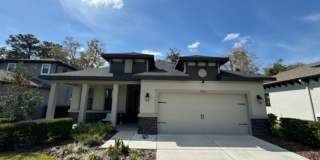 Must See! Amazing 3 bed 2 bath single family in New Port Richey Gallery 1