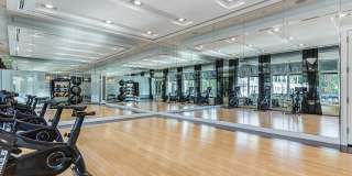 Bell Sunrise Bell Sunrise Gallery 20