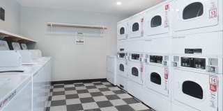 Mission Pines Gallery 15