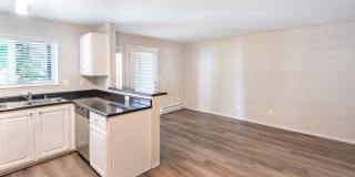 Black Lake Gallery 15