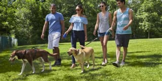 Auburn Gate Apartments Gallery 8