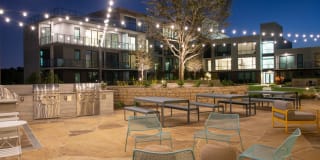 The Village Drey Gallery 46