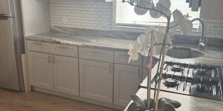 486 North Maple Avenue Gallery 5