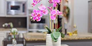 3452 E JAEGER Circle Gallery 17