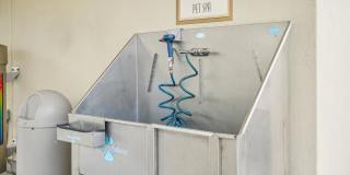 Springs at Gulf Coast Gallery 37