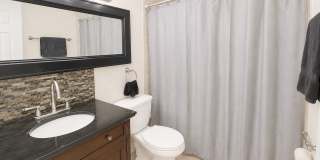Stunning 3BD/2BTH Home in Holiday! Gallery 12