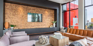 Carbon31 Gallery 36