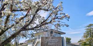 Chaparral Apartments Gallery 2