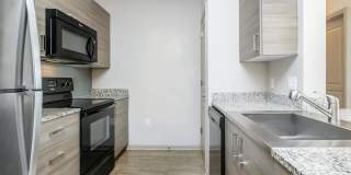 RIZE at Winter Springs Gallery 105