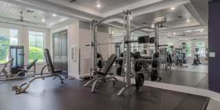 Novus Westshore Gallery 40