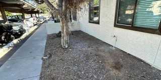 5115 N 22nd Avenue Gallery 3