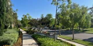 Desirable Eastwood Village Home Gallery 33