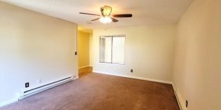 3870 East Leonesio Drive Gallery 4