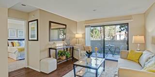 Castlepark Gallery 3