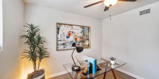 Sunrise in Chandler Gallery 59