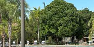 6619 SW 116th Pl Gallery 27