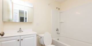 Chestnut Hill North Apartments Chestnut Hill North Apartments Gallery 59