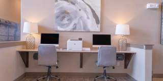 Century Palm Bluff Gallery 8