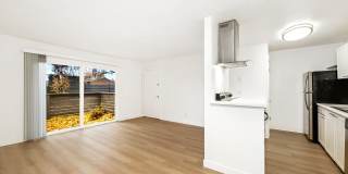 Driftwood Gallery 32