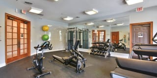 Springs at Palma Sola Gallery 21