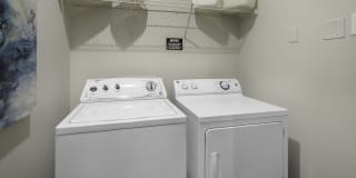 Cavalier @ 100 Gallery 24