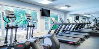 Waterford Village Gallery 15