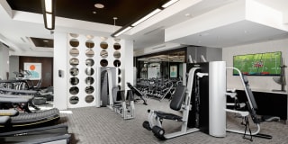 Arcadia Dr. Phillips Arcadia Dr. Phillips Gallery 39