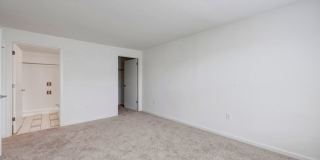 The Shelton Gallery 8