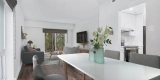 Haven Reston Affordable Apartments Gallery 3