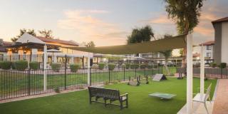 Reveal Apartments Gallery 37